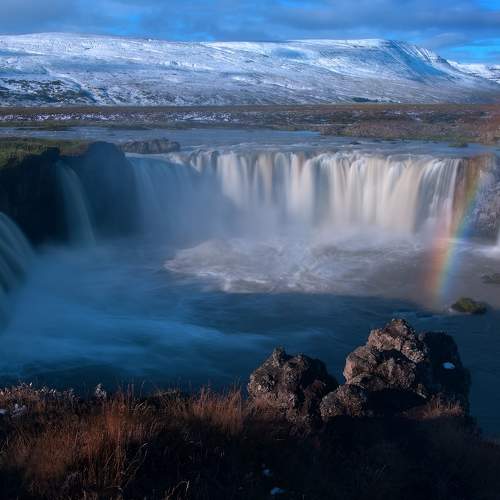 Photo #8472737