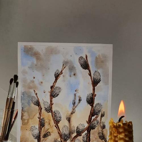 Photo #8472862
