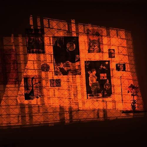 Photo #8473488