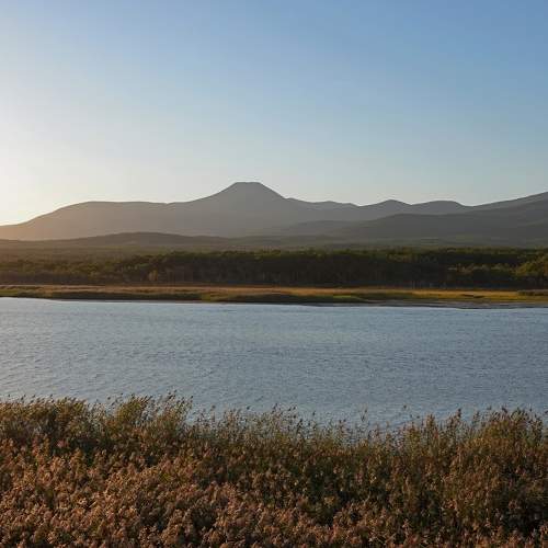 Photo #8473589
