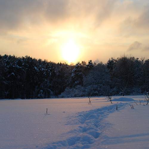 Photo #8473649