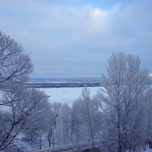 Photo #8473654