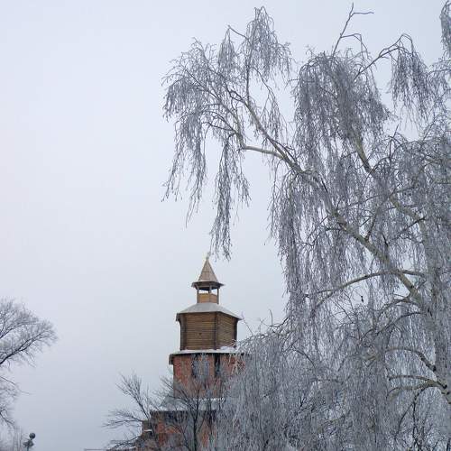 Photo #8473655