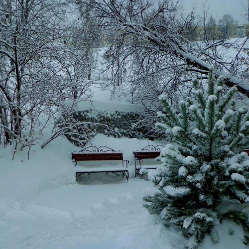 Photo #8473656
