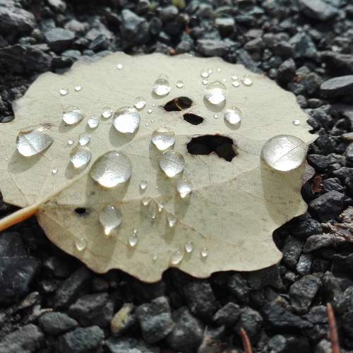 Photo #8473695
