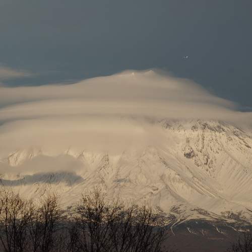 Photo #8473725
