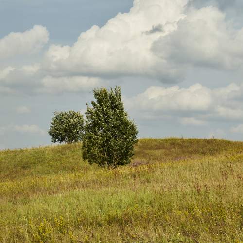 Photo #8473861
