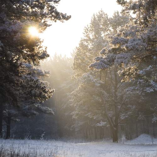 Photo #8474111