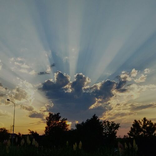 Photo #8474137