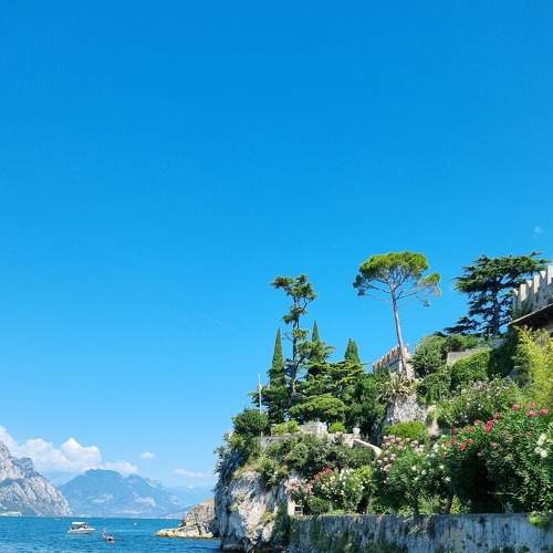 Photo #8474306