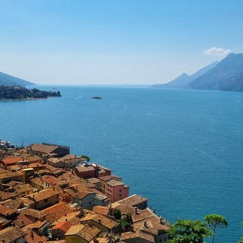 Photo #8474307