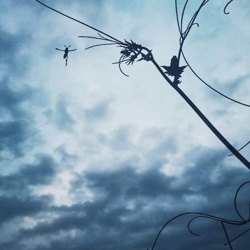 Photo #8475003