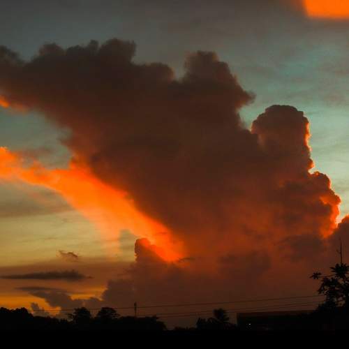 Photo #8475174
