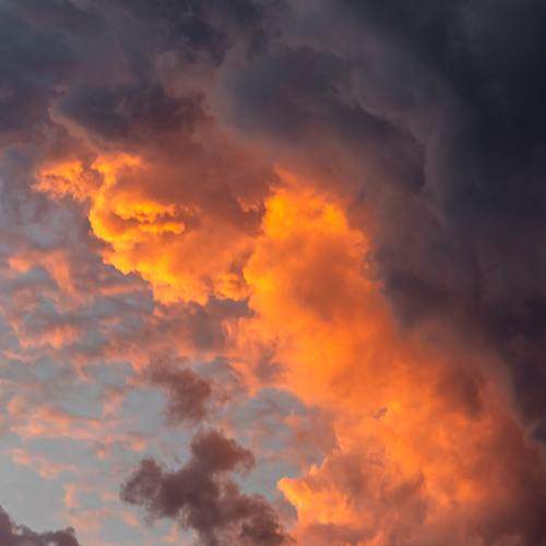 Photo #8475615