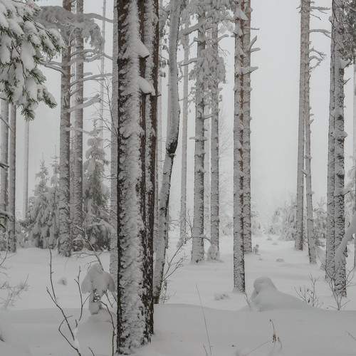 Photo #8475765