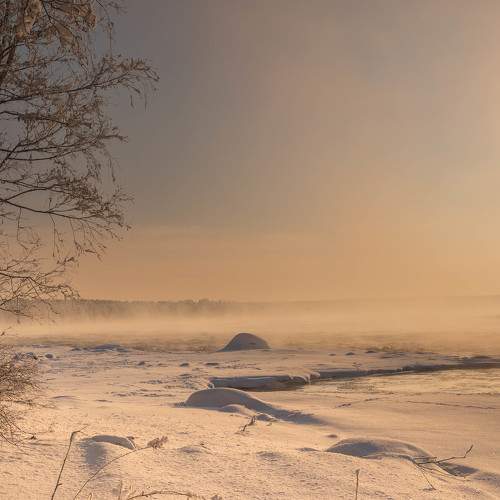 Photo #8475775
