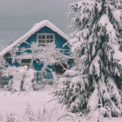 Photo #8475777