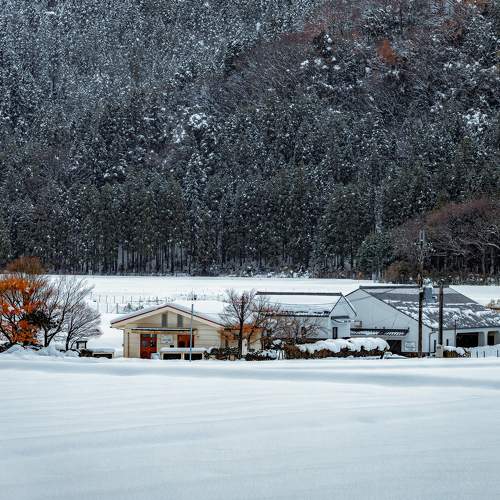 Photo #8475820
