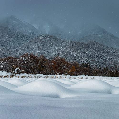Photo #8475821