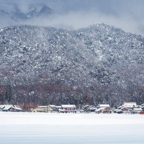 Photo #8475827
