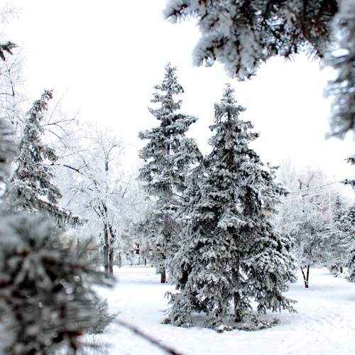 Photo #8476034
