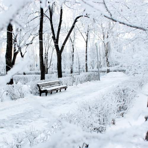 Photo #8476037