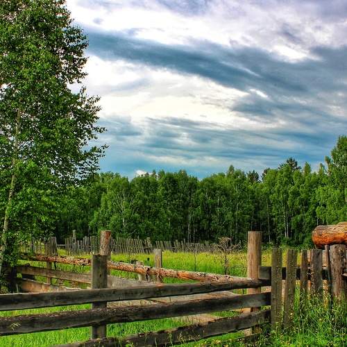 Photo #8476206