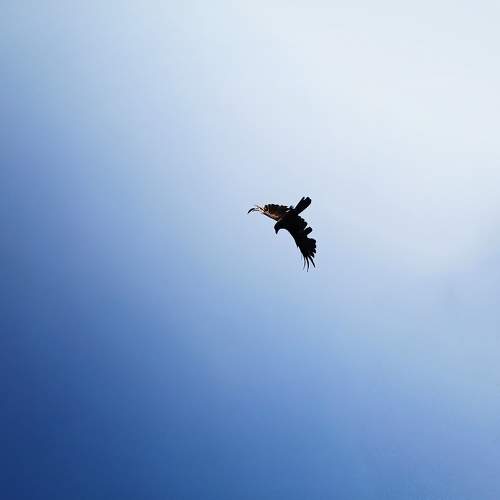 Photo #8476361