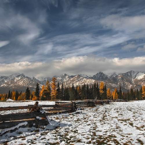 Photo #8476475