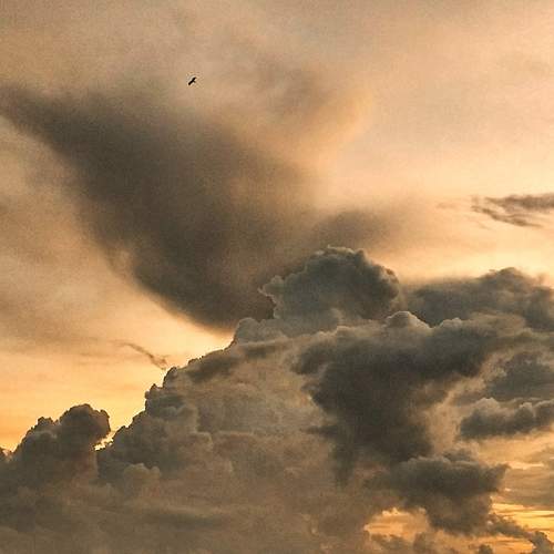 Clouds, Man and Bird