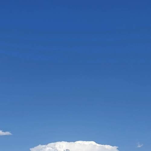 Photo #8476775