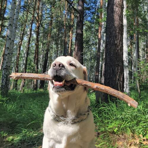 Photo #8476845