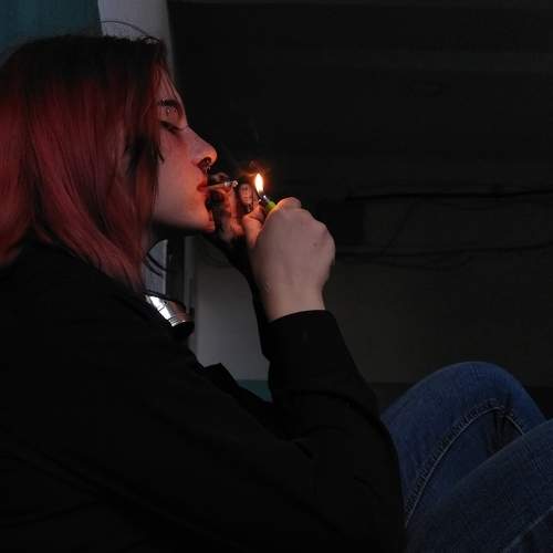 Photo #8476866