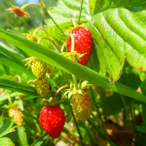 Photo #8476907