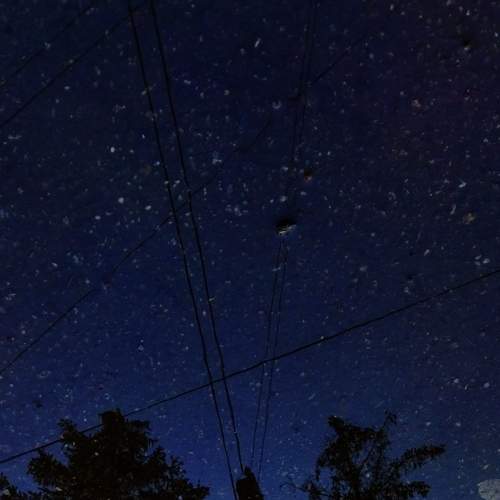 Photo #8476978