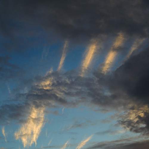 Photo #8477086