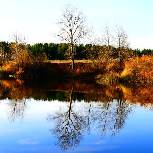 Photo #8477583