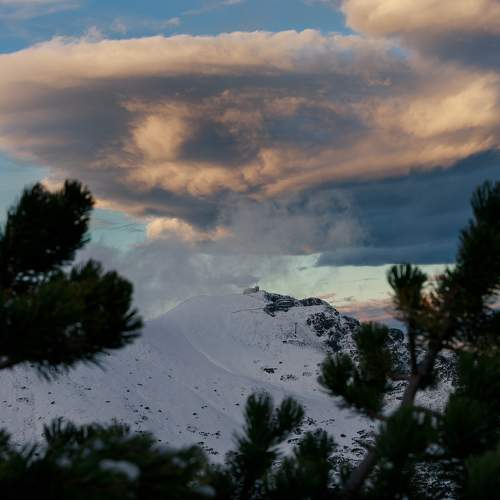 Photo #8477662