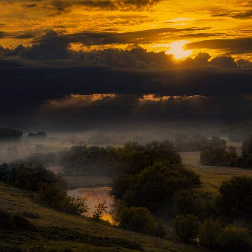 Photo #8477670