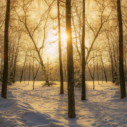 Photo #8477718
