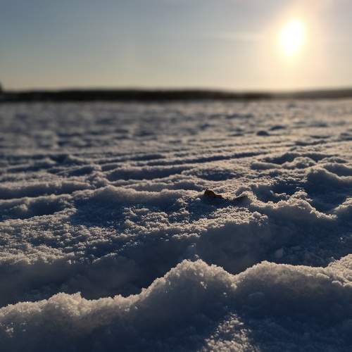 Photo #8477738