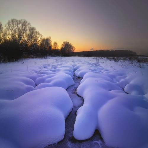 Photo #8477798