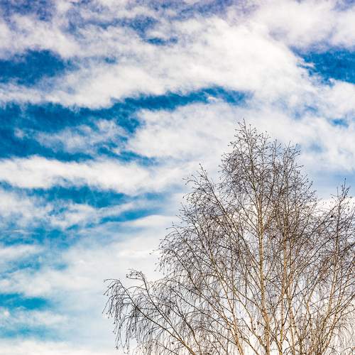 Photo #8477996