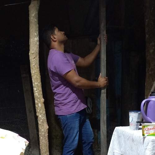Photo #8478234