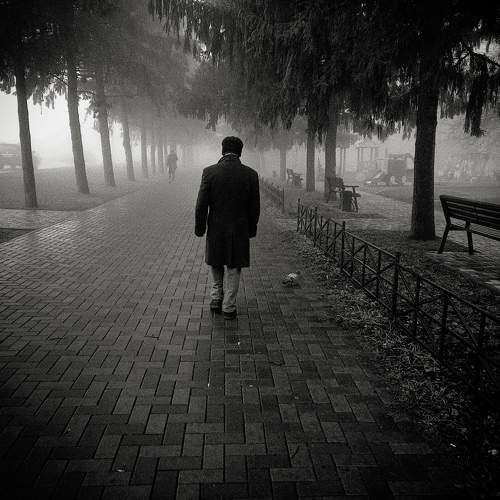 Photo #8478260
