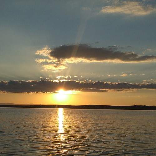 Photo #8478319