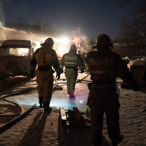 Photo #8478413