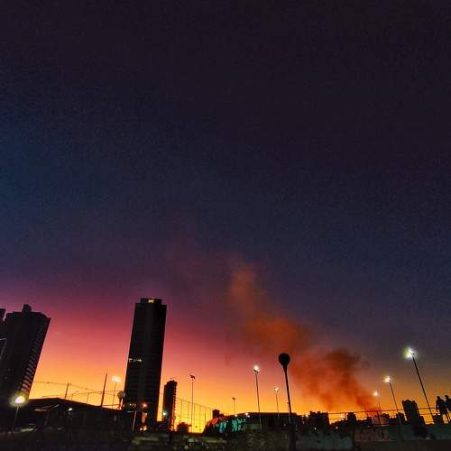 Photo #8478717