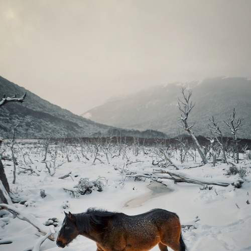 Photo #8478831