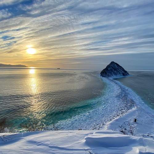 Photo #8478899